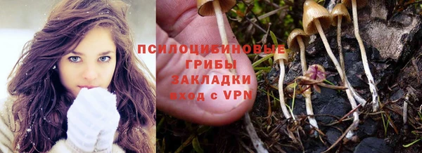 сатива Апатиты