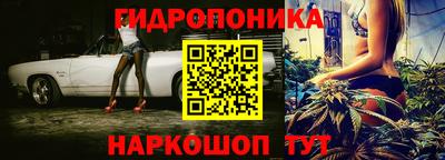 сатива Канаш
