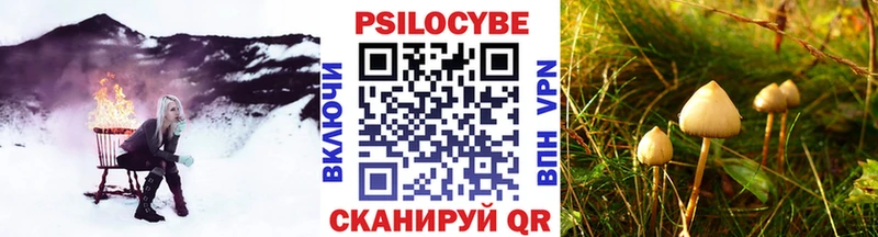 Галлюциногенные грибы Psilocybine cubensis  Геленджик 