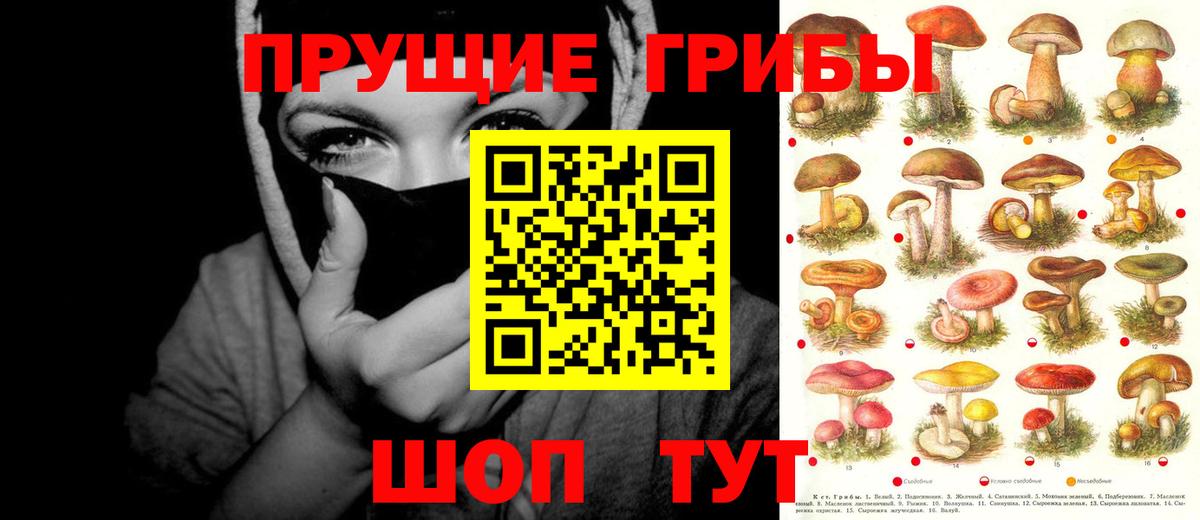 Геленджик  Псилоцибиновые грибы GOLDEN TEACHER  Псилоцибиновые грибы Psilocybe  Вход с VPN 