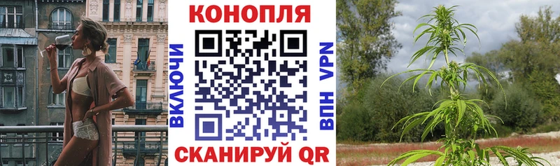 Каннабис сатива  купить закладку  Геленджик 